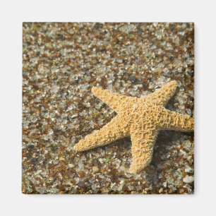 USA, HI, Kauai, Glass Beach mit Star-Fisch Magnet