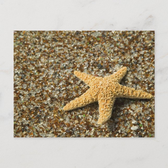 USA, HI, Kauai, Glass Beach mit Star-Fisch Postkarte (Vorderseite)