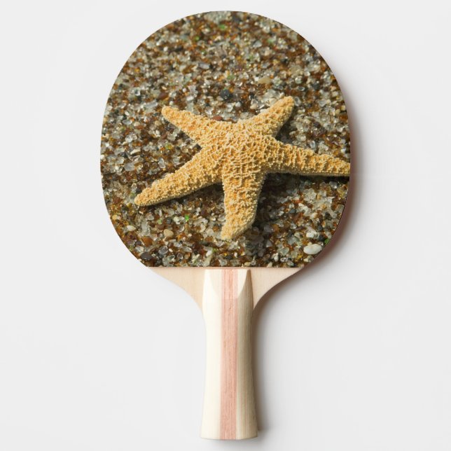 USA, HI, Kauai, Glass Beach mit Star-Fisch Tischtennis Schläger (Vorderseite)