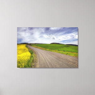 USA, Idaho, Idaho County, Rapsfeld Leinwanddruck