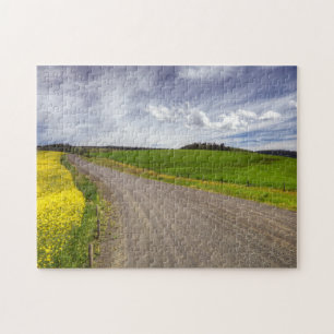 USA, Idaho, Idaho Landkreis, Canola Field
