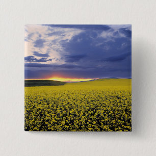 USA, Idaho, Swan Valley. Ein feuriger Sonnenunterg Button
