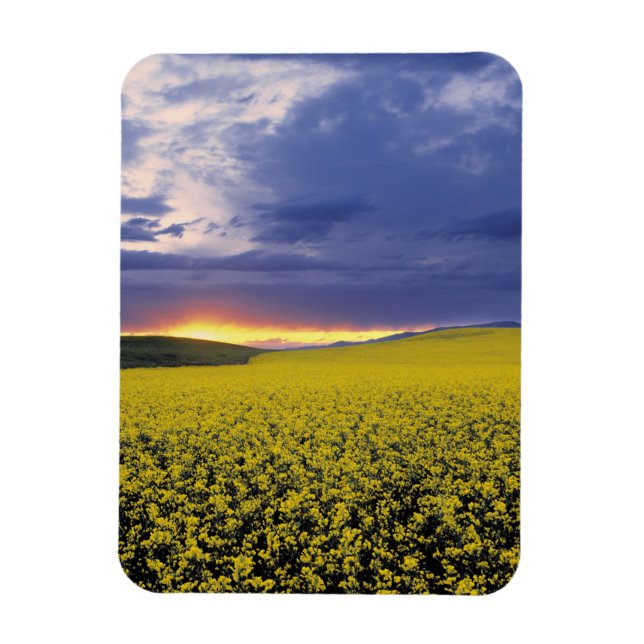 USA, Idaho, Swan Valley. Ein feuriger Sonnenunterg Magnet (Vertikal)
