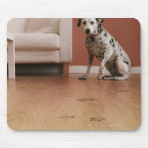 USA, Illinois, Metamora, Nahaufnahme des Bodens Mousepad