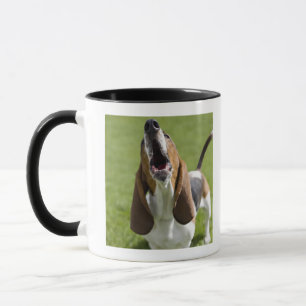 USA, Illinois, Washington, Porträt des Bassets Tasse