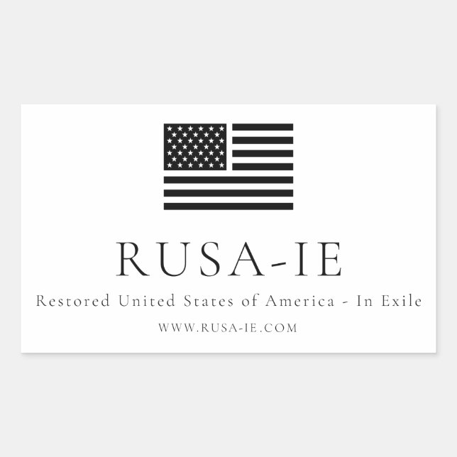 USA-In-Exilaufkleber Rechteckiger Aufkleber (Vorderseite)
