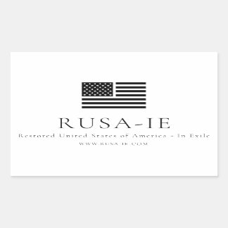 USA-In-Exilaufkleber Rechteckiger Aufkleber