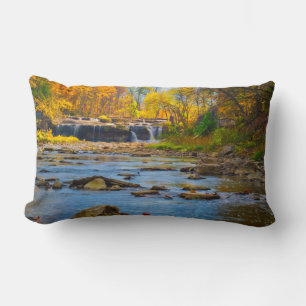 USA, Indiana. Cataract Falls State Recreation Lendenkissen