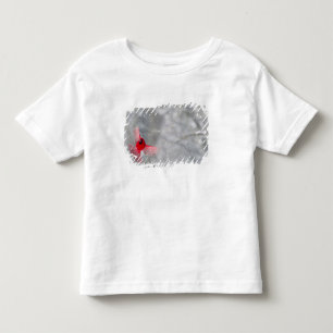 USA, Indiana, Indianapolis. Ein männlicher Kardina Kleinkind T-shirt