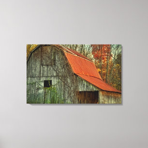 USA, Indiana. ländliche Landschaft, weinberankte Leinwanddruck