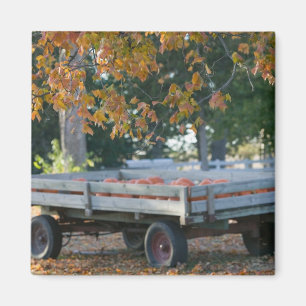 USA, IOWA, Madison County, Winterset: Howell's Magnet