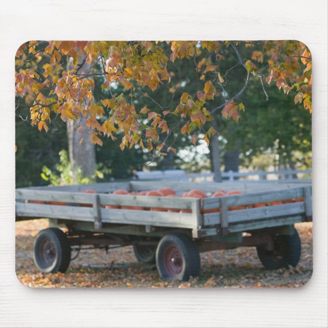 USA, IOWA, Madison County, Winterset: Howells Mousepad (Vorne)