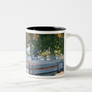 USA, IOWA, Madison County, Winterset: Howell's Zweifarbige Tasse