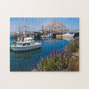 USA, Kalifornien. Angedockte Boote in der Morro Ba