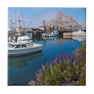 USA, Kalifornien. Angedockte Boote in der Morro Ba Fliese