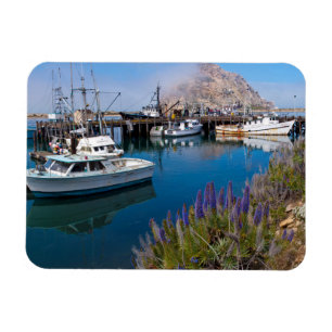 USA, Kalifornien. Angedockte Boote in der Morro Ba Magnet
