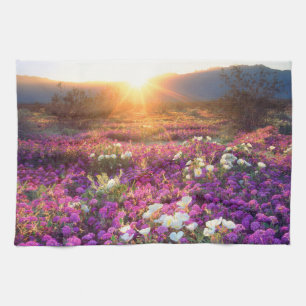 USA, Kalifornien, Anza-Borrego Desert Staat Park. Küchentuch