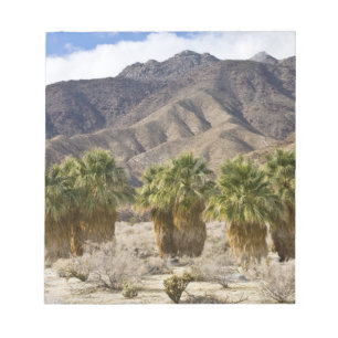 USA, Kalifornien, Anza-Borrego Desert Staat Park. Notizblock