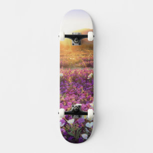 USA, Kalifornien, Anza-Borrego Desert Staat Park. Skateboard