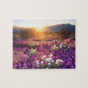 USA, Kalifornien, Anza-Borrego Desert State Park.