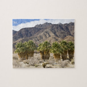 USA, Kalifornien, Anza-Borrego Desert State Park.