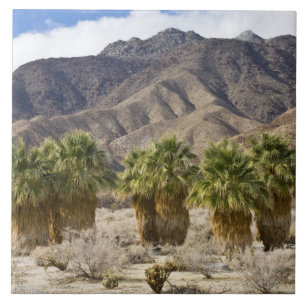 USA, Kalifornien, Anza-Borrego Desert State Park. Fliese