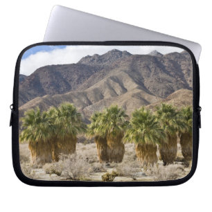 USA, Kalifornien, Anza-Borrego Desert State Park. Laptopschutzhülle