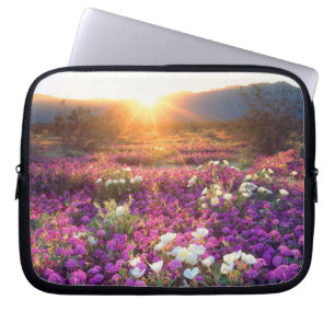 USA, Kalifornien, Anza-Borrego Desert State Park. Laptopschutzhülle