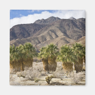 USA, Kalifornien, Anza-Borrego Desert State Park. Magnet