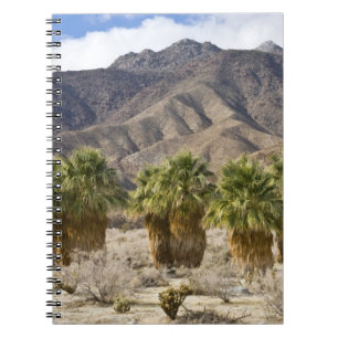 USA, Kalifornien, Anza-Borrego Desert State Park. Notizblock