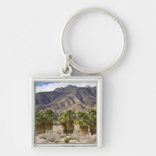 USA, Kalifornien, Anza-Borrego Desert State Park. Schlüsselanhänger