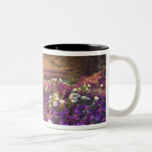 USA, Kalifornien, Anza-Borrego Desert State Park.  Zweifarbige Tasse