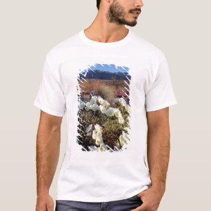 USA, Kalifornien, Anza-Borrego DSP. Dünen-Abend 2 T-Shirt