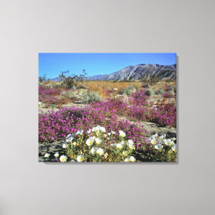 USA, Kalifornien, Anza-Borrego DSP. Dünenabend Leinwanddruck