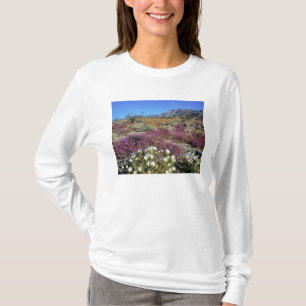 USA, Kalifornien, Anza-Borrego DSP. Dünenabend T-Shirt