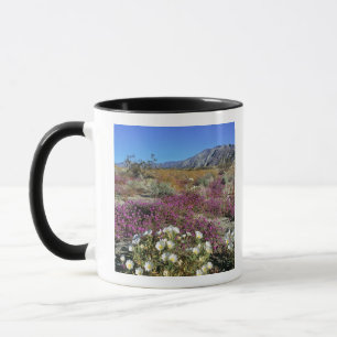 USA, Kalifornien, Anza-Borrego DSP. Dünner Abend Tasse