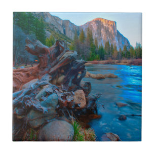 USA, Kalifornien. Baumwurzeln im Merced River Fliese