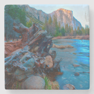 USA, Kalifornien. Baumwurzeln im Merced River Steinuntersetzer