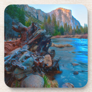 USA, Kalifornien. Baumwurzeln im Merced River Untersetzer