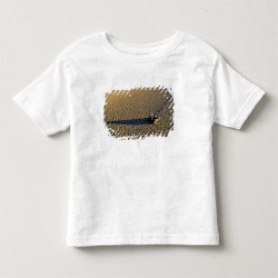 USA, Kalifornien, Death Valley National Park. 2 Kleinkind T-shirt