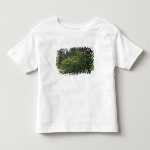 USA, Kalifornien, Del Norte, Redwoods St. Park, Kleinkind T-shirt
