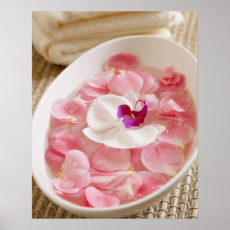 USA, Kalifornien, Fairfax, Bowl of petals by Poster