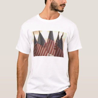 USA, Kalifornien, Goldland, Amador-Stadt: T-Shirt