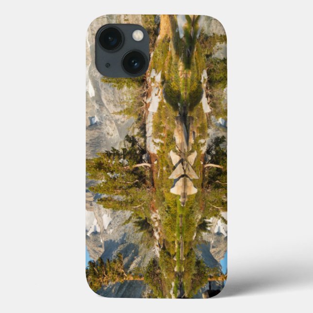 USA, Kalifornien, Inyo National Forest 13 Case-Mate iPhone Hülle (Rückseite)
