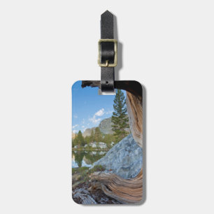 USA, Kalifornien, Inyo National Forest. Alte Kiefe Gepäckanhänger