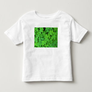 USA, Kalifornien, Jedediah Smith Rewood SP Kleinkind T-shirt