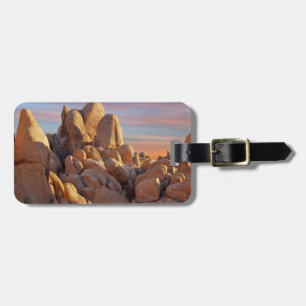 USA, Kalifornien, Joshua-Baum-Nationalpark Gepäckanhänger