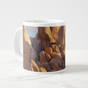 USA, Kalifornien, Joshua-Baum-Nationalpark Jumbo-Tasse