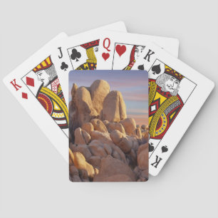 USA, Kalifornien, Joshua-Baum-Nationalpark Spielkarten