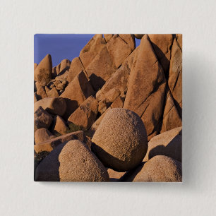 USA, Kalifornien, Joshua Tree National Park. Button